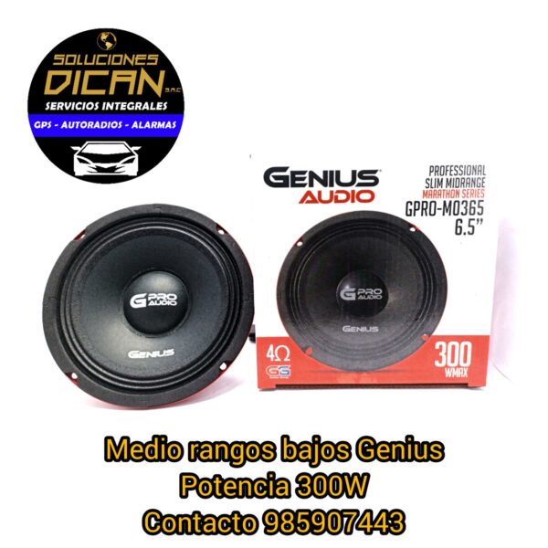 Medios rangos bajos Genius 300W de tamaño grande